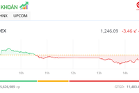 Nhà đầu tư tập trung vào các mã vừa và nhỏ trong phiên chiều 21/1