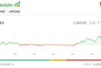 Nhóm cổ phiếu nhà Gelex tăng vọt, thị trường tăng điểm trong phiên cuối cùng năm Âm lịch Giáp Thìn