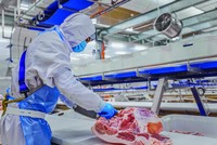 Tăng trưởng doanh thu từ mảng thịt ủ mát, thịt chế biến giúp MEATLife có lãi trở lại trong quý III/2024.