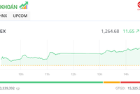 Nhiều cổ phiếu ngân hàng, công ty chứng khoán khởi sắc, VN-Index tăng gần 12 điểm