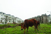 Pháp lý đất đai là lĩnh vực liên quan tới tất cả mọi người. Ảnh: Dũng Minh.