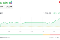 Nhóm công ty chứng khoán nổi sóng, VN-Index tăng hơn 13,5 điểm