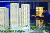 Bộ Xây dựng cho biết, hiện nay, gần như không có dự án nhà ở nào tại TP.HCM hay Hà Nội mở bán mới có mức giá dưới 25 triệu đồng/m2. Ảnh: Dũng Minh.