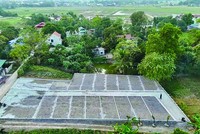 Đất nền dự án, đất thổ cư vùng ven, tỉnh lẻ được săn đón. Ảnh: Dũng Minh.