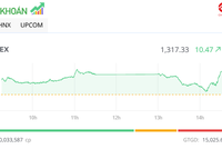 Nhóm Vingroup và ngân hàng giúp VN-Index tăng hơn 10 điểm