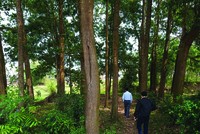 Nhà đầu tư Hà Nội kéo về các địa phương săn đất. Ảnh: Dũng Minh.