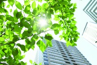 Doanh nghiệp địa ốc tăng tốc tái cơ cấu