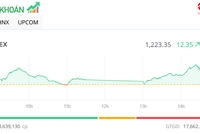 Nhóm Vingroup khởi sắc, thị trường tăng hơn 12 điểm