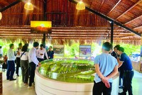 Các sản phẩm có pháp lý hoàn thiện, khả năng khai thác và giá trị tích lũy rõ ràng được quan tâm. Ảnh: Việt Dũng.