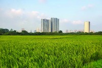 Đất đai là nguồn tài nguyên vô cùng quý giá của mỗi quốc gia, mỗi dân tộc. Ảnh: Dũng Minh.