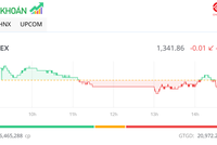 Cổ phiếu NVL hút mạnh dòng tiền