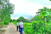 Nhà đầu tư đi săn đất nền. Ảnh: Vũ Dũng.