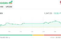Dòng tiền chảy mạnh, VN-Index tăng gần 11 điểm