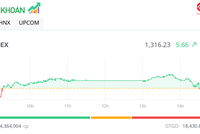 VN-Index có phiên hồi phục nhẹ nhờ cặp đôi VHM, VRE bật lên về cuối ngày