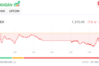 Lực cầu gia tăng về cuối phiên, VN-Index thu hẹp đà giảm