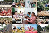 Số hộ dân được tiếp cận với nguồn vốn tín dụng chính sách và mạnh dạn vay vốn phát triển kinh tế, vươn lên thoát nghèo ngày càng nhiều.