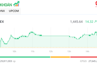 Nhóm Vingroup bay cao, thị trường tăng thêm gần 15 điểm