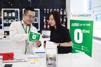 Với quy mô vốn điều lệ gần 11.000 tỷ đồng, lớn nhất trong ngành, FE Credit chiếm gần 50% thị phần cho vay tiêu dùng.