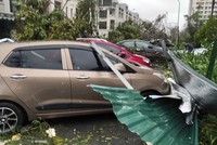 Bảo hiểm rủi ro thiên tai còn nhiều “khoảng trống”.