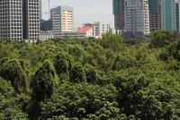 Cả nước hiện có hàng trăm dự án đang gặp vướng mắc liên quan tới đất đai. Ảnh: Dũng Minh.