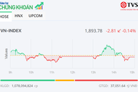 Thiếu động lực thúc đẩy, VN-Index giảm nhẹ trong phiên ngày 20/1