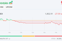 Tiết cung giá thấp, VN-Index giữ được mốc 1.800 điểm