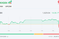 Sắc xanh lan tỏa, VN-Index tiếp đà hồi phục lên 1.830 điểm