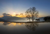 Cây Hạnh phúc thôn Choản Thèn - điểm check-in quen thuộc với nhiều người khi ghé Y Tý. Ảnh: Hoàng Công Kiều.