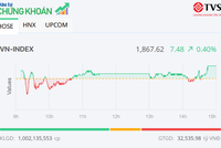 Thị trường có nhiều sắc tím, VN-Index tiếp tục tăng điểm