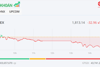 VN-Index tiếp tục giảm, nhưng nhóm dầu khí vẫn là điểm nóng