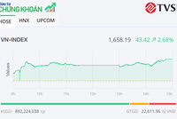 Nhiều cổ phiếu khởi sắc, VN-Index tăng hơn 40 điểm trong phiên 25/3