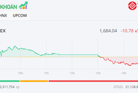 Thanh khoản thấp, VN-Index tiếp tục điều chỉnh nhẹ