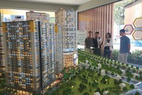 Khách hàng tham quan một dự án vùng ven TP.HCM cũ. Ảnh: Việt Dũng.