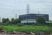 Tại Khu đô thị Đông Bình Dương, nhiều nơi cỏ mọc um tùm. Ảnh: Việt Dũng.