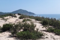 Đất ven biển thị trấn Lăng Cô, huyện Phú Lộc, Thừa Thiên Huế chỉ có gió và cát đang được giới đầu tư "săn tìm"