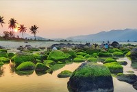 Khu vực bãi biển Nam Ô, quận Liên Chiểu, TP Đà Nẵng.