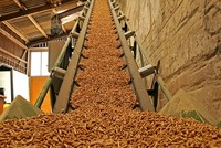 Dự án Nhà máy sản xuất viên nén năng lượng của Công ty Trường Nguyên Khanh có công suất thiết kế từ 100 - 150 tấn thành phẩm/ngày.