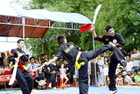 Biểu diễn võ thuật cổ truyền Bình Định.