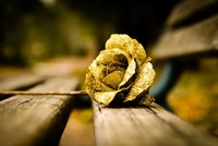 Giá vàng ngày 8/4: Nhanh chóng chùn chân!