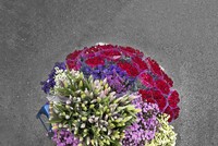 Những gánh hàng rong tuyệt đẹp khi nhìn từ trên cao