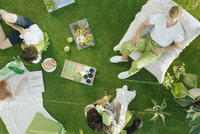 Sắc màu chủ đề năm 2017 sẽ là Greenery