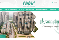 TASCO (HUT): Quý IV/2020, lợi nhuận giảm 340,34%