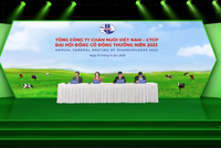 Bà Mai Kiều Liên và những câu trả lời “không” tại Đại hội cổ đông Vilico (VLC)