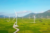 8 nhà máy điện gió, điện mặt trời đã được thống nhất giá mua tạm thời