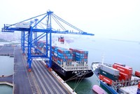 Nhà đầu tư “huyền thoại” của năm: Mua 500 cổ phiếu trở thành cổ đông lớn của công ty có cổ phiếu tăng giá 56 lần chỉ trong chưa đầy 2 tháng