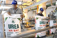 Xử lý dứt điểm các công ty con hoạt động thua lỗ của Vinachem