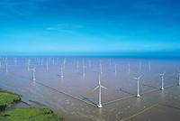 1 tổ chức tín dụng mua 185 tỷ đồng trái phiếu của Điện gió Bắc Phương