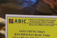 Một công ty bảo hiểm có 3.000 tỷ đồng gửi ngân hàng, cả năm “ung dung” báo lãi hàng trăm tỷ đồng