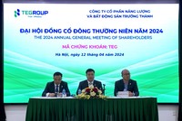 Đại hội đồng cổ đông TEG: Tập trung nguồn lực cho năng lượng, có lộ trình rút khỏi mảng bất động sản