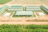 Nông nghiệp Trường Hải đã thoát lỗ